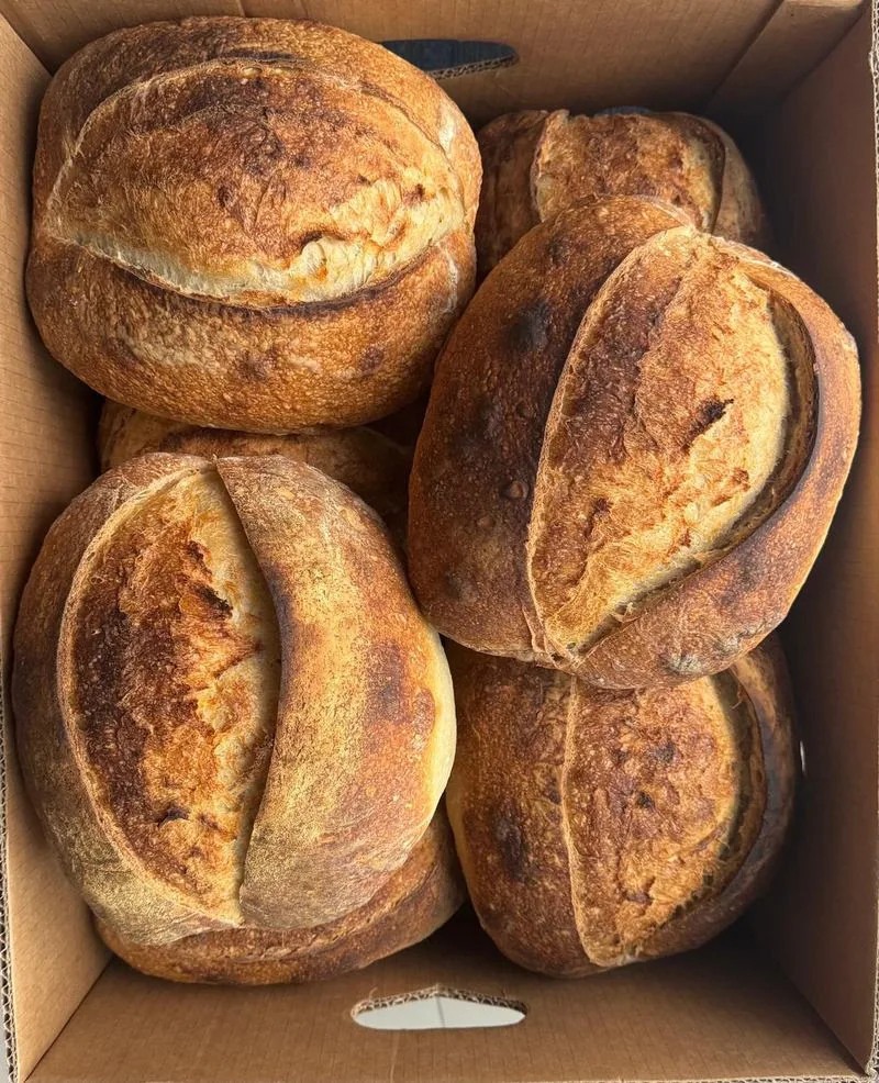 A box of freshly baked scored sourdough loaves