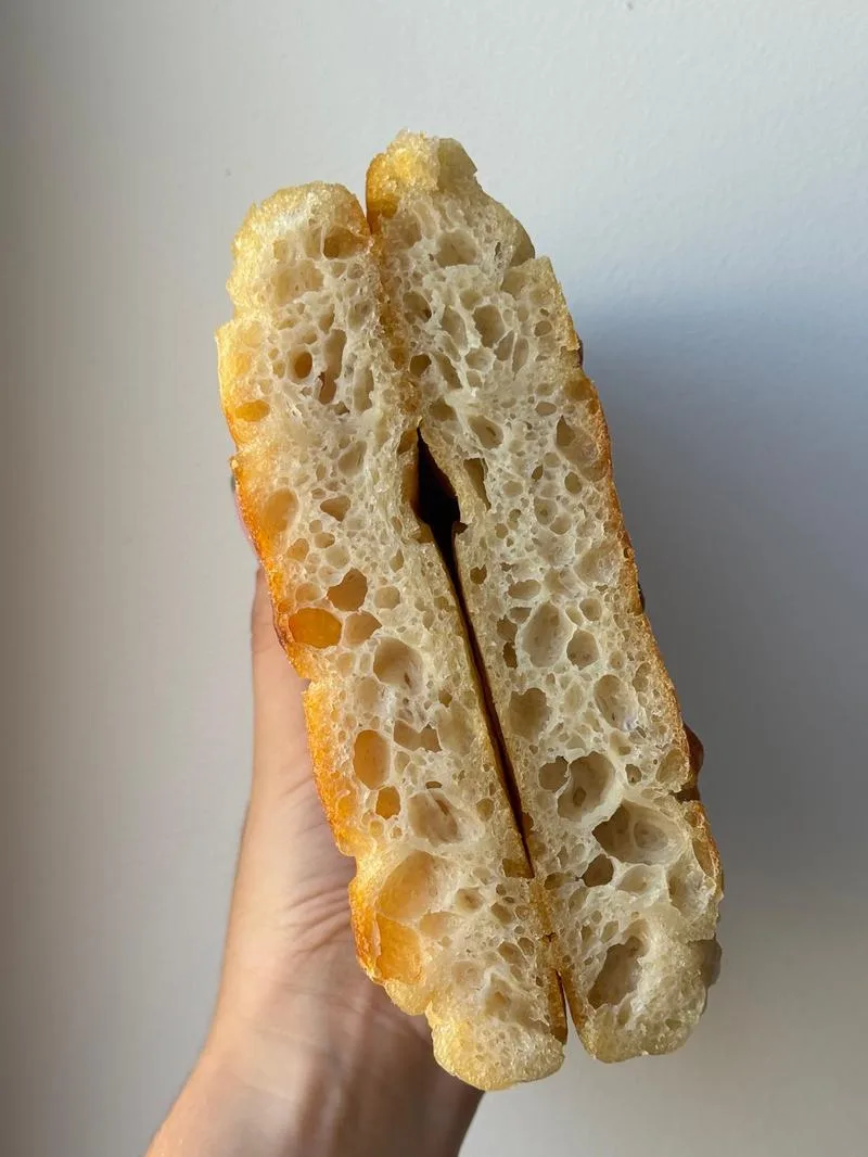 Cross-section of a sourdough loaf with a very open, glossy crumb